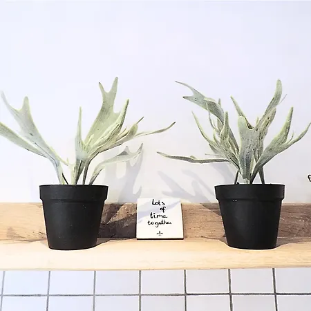 Feriehus Medieval Charm Meets Valley Views In Aveyron